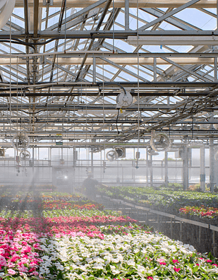 08_Greenhouse